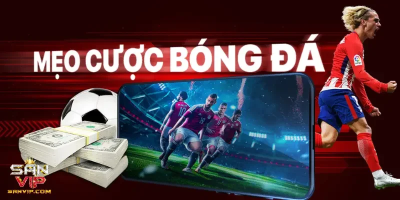 Giao diện với gam màu chuẩn trực quan
